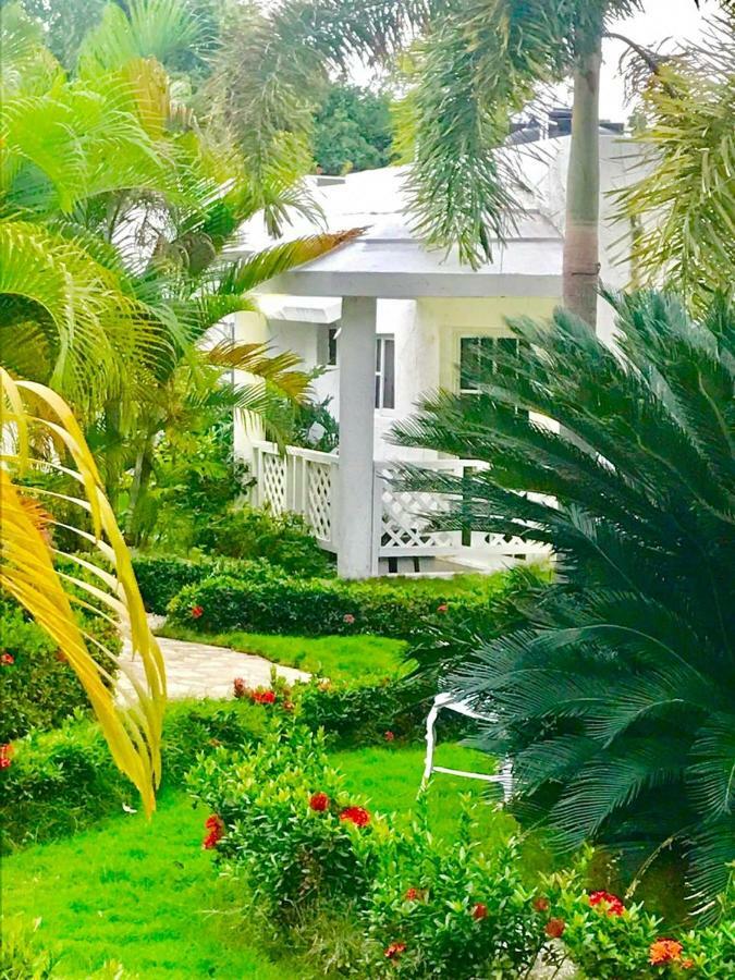 Daymond Blue Tropical Lodge Barahona Dış mekan fotoğraf